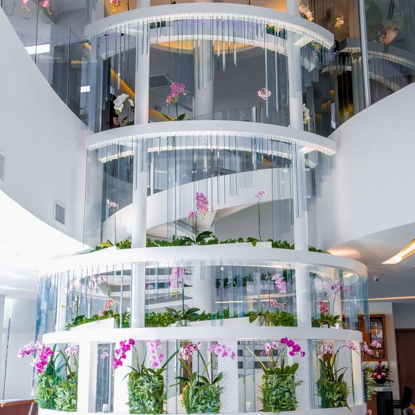 Spiral Staircase