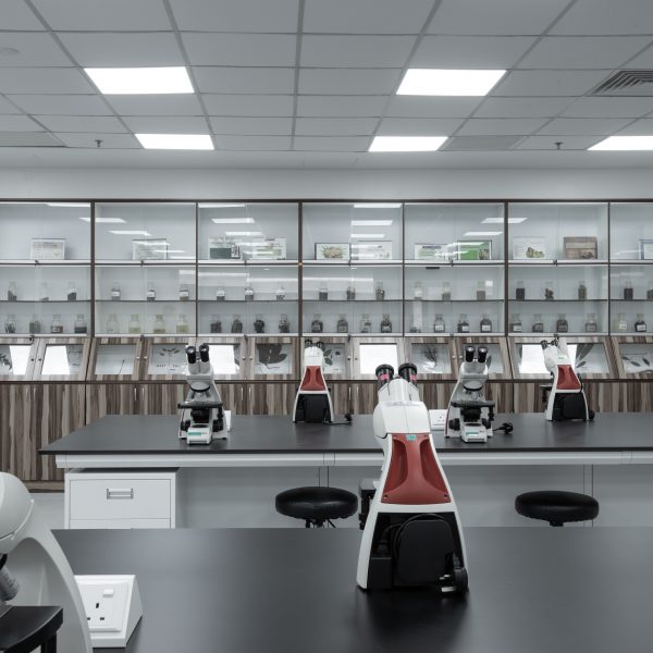 CUCMS Level 3 Pharmacognosy Phytochemistry Lab (2)