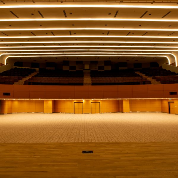 CUCMS Level 4 Multipurpose Hall-Auditorium (3)