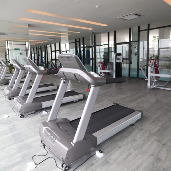 GYM 2